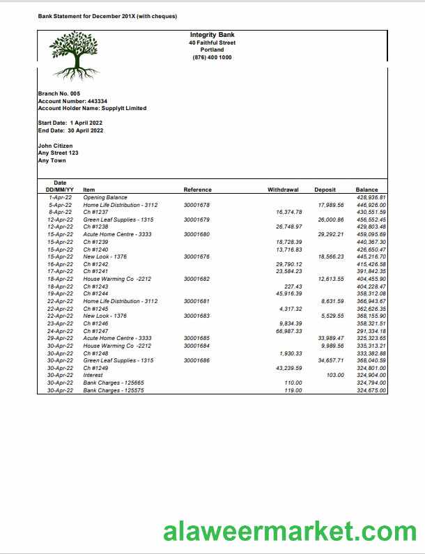 USA Integrity Bank statement Word and PDF template